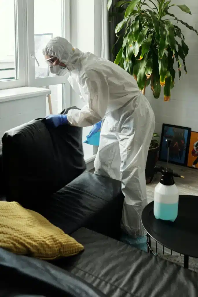 upholstery cleaning scaled 1