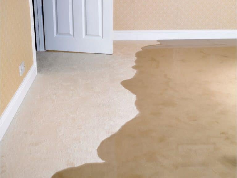 flooded carpet