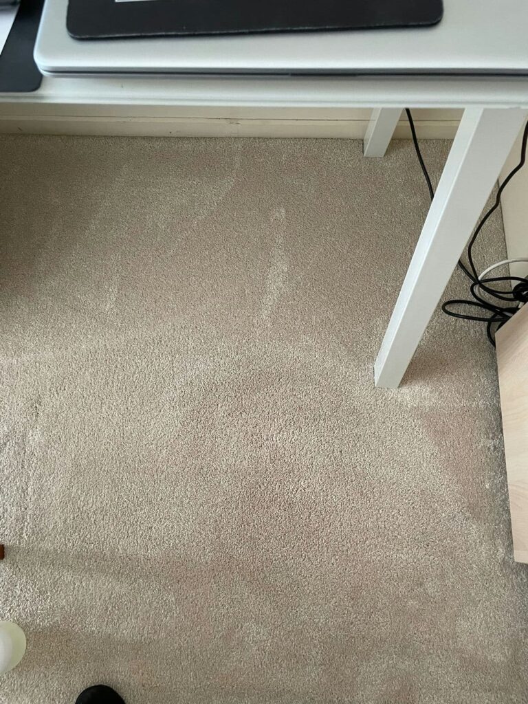 2Carpet Stain Removal After2
