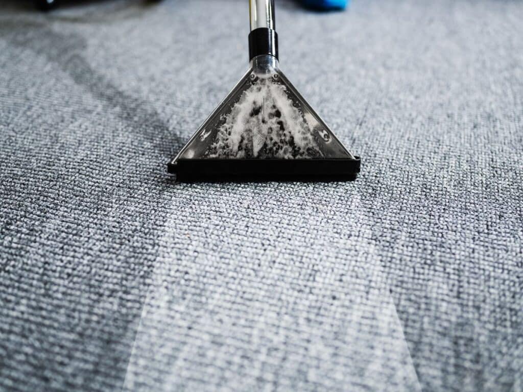 gray steam carpet cleaning