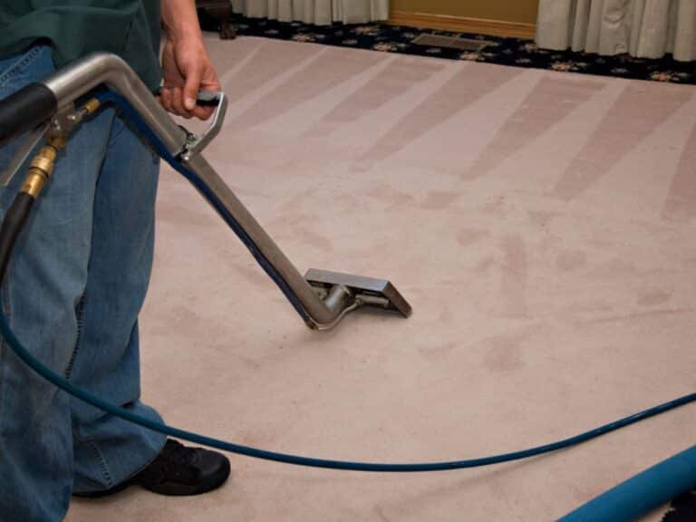 steam carpet cleaning