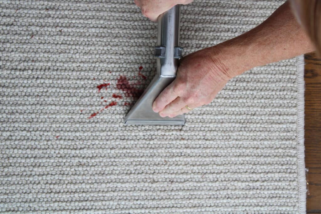 IMG 7020 stain being cleaned Carpet Stain Removal Page