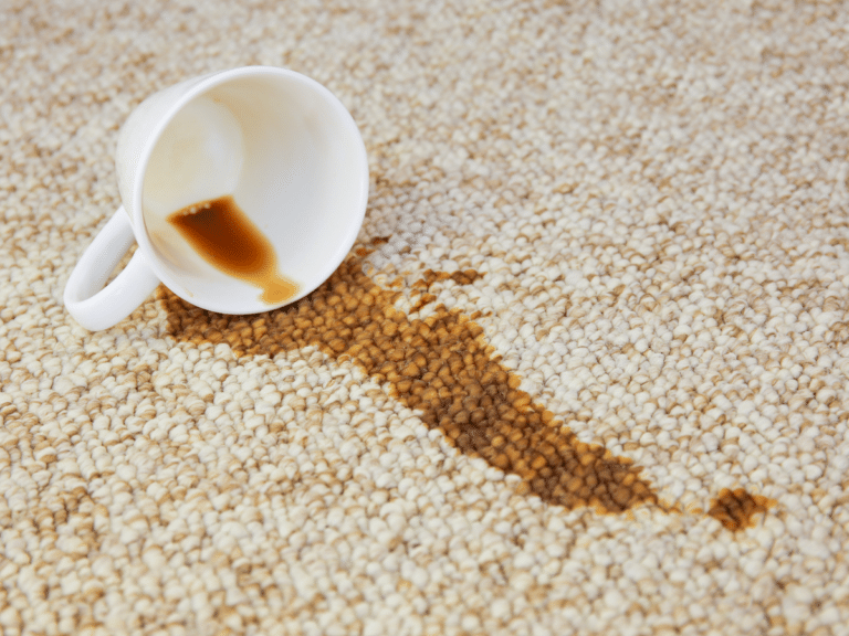 carpet coffee stain