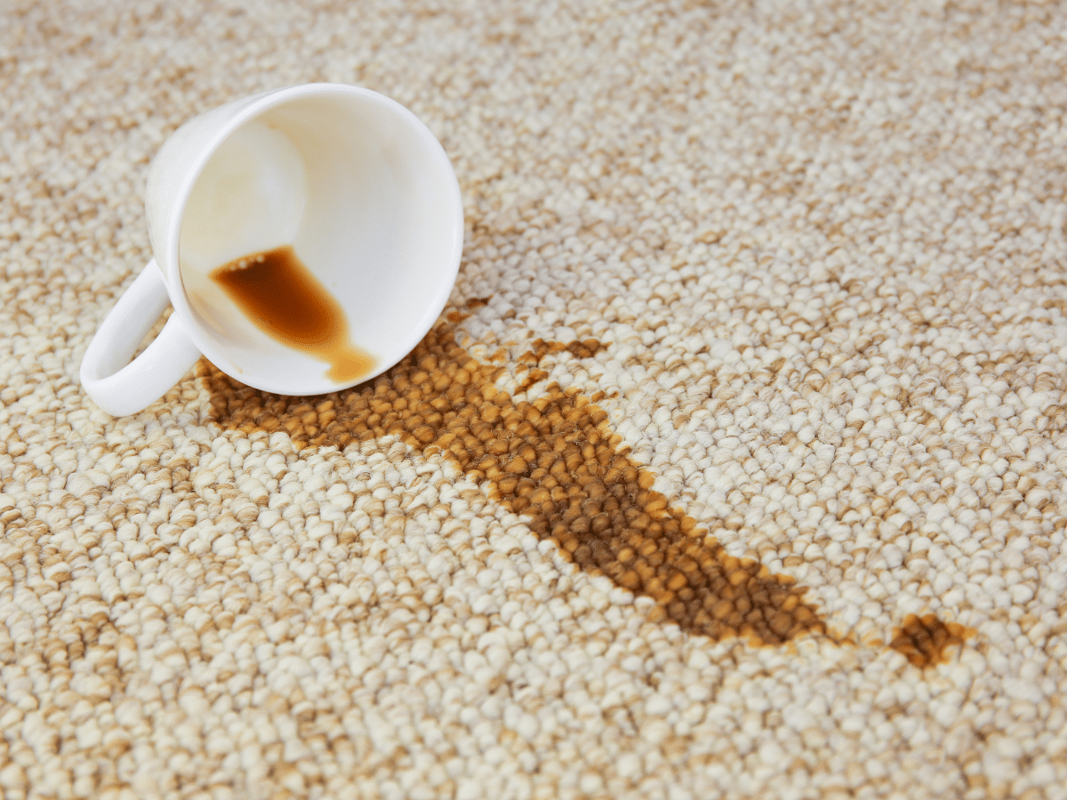 carpet coffee stain